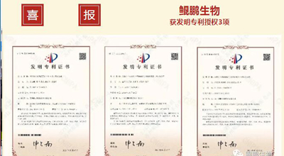 金沙js93252生物 | 核心平台技术获得中国发明专利